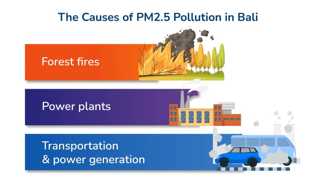 causes of pm2.5 pollution