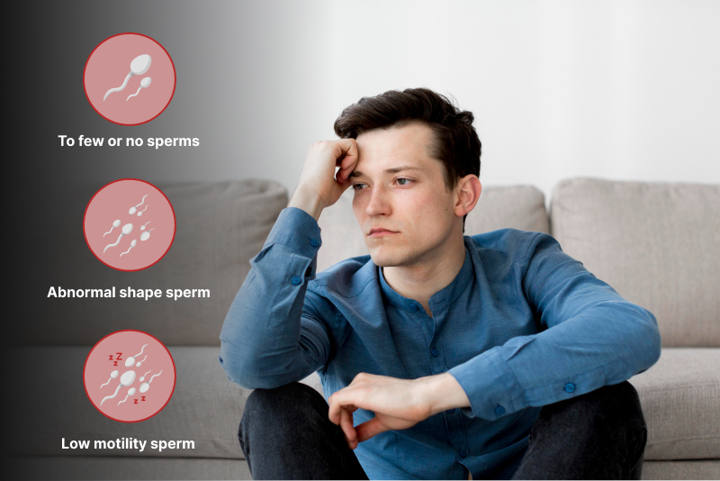 Air pollution affects on male fertility