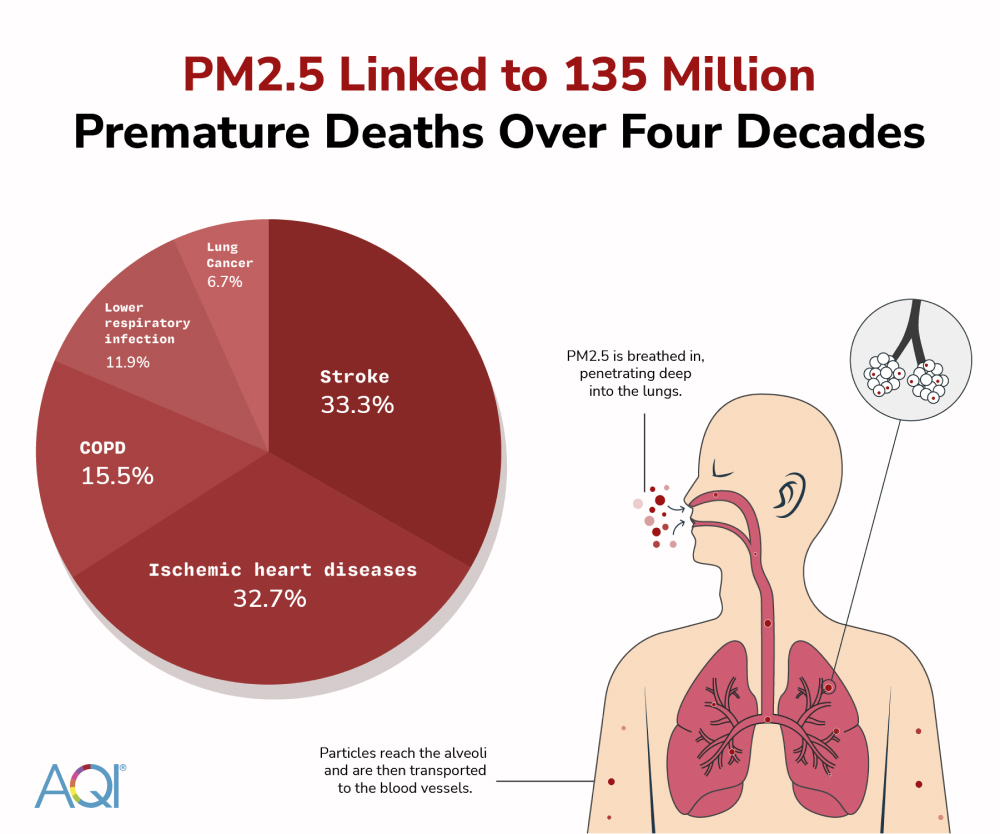 PM2.5 linked to 135 million premature deaths in four decades