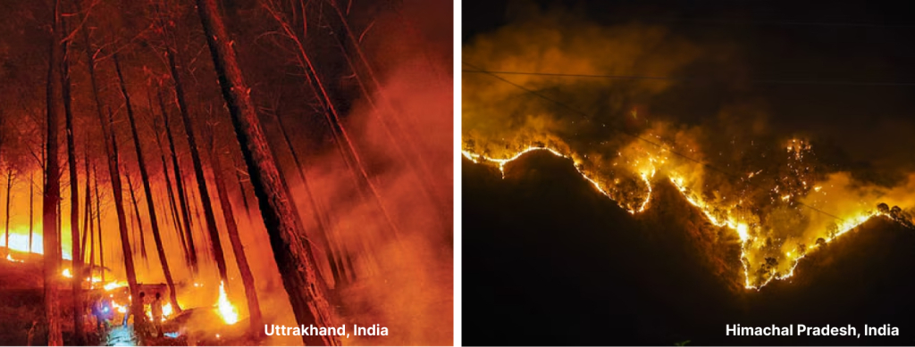 Wildfires in Uttarakhand and Himachal Pradesh India