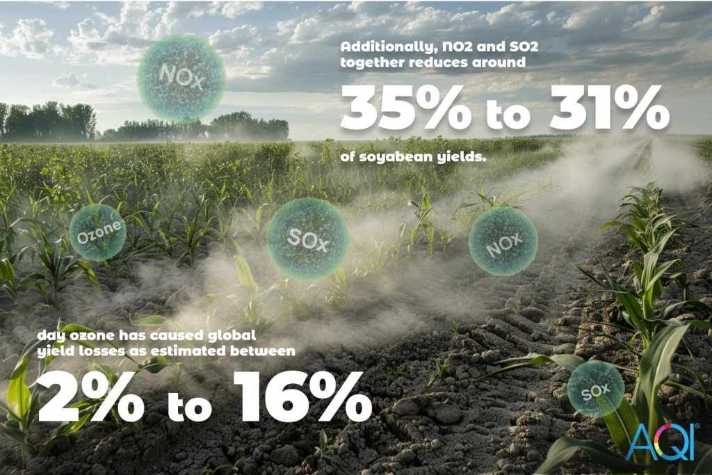 La contaminación del aire afecta la salud de los cultivos y causa baja producción