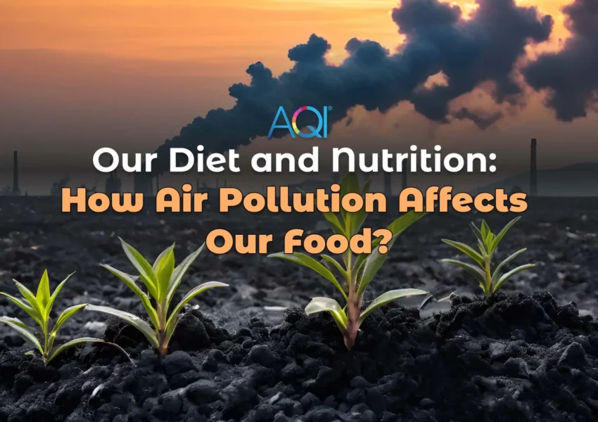 Our Diet and Nutrition: How Air Pollution Affects Our Food?